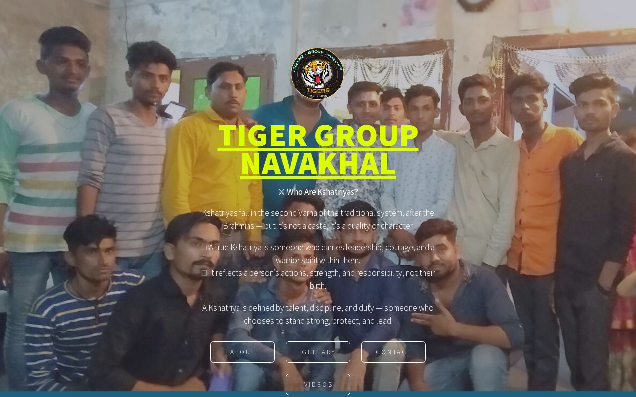 Carrd profile picture for @tigers